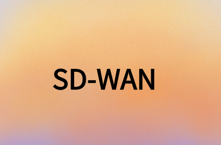 SD-WAN提供安全、靈活且經(jīng)濟(jì)高效的解決方案