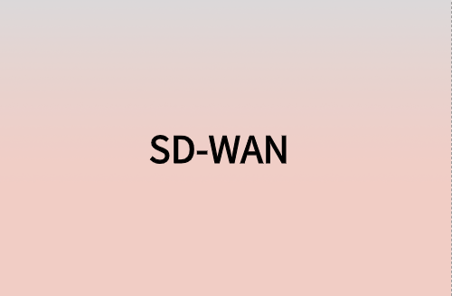 對企業(yè)而言，SD-WAN意味著什么?
