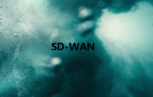 SD-WAN：使通過(guò)公共網(wǎng)絡(luò)傳輸?shù)臄?shù)據(jù)像專用網(wǎng)絡(luò)一樣安全