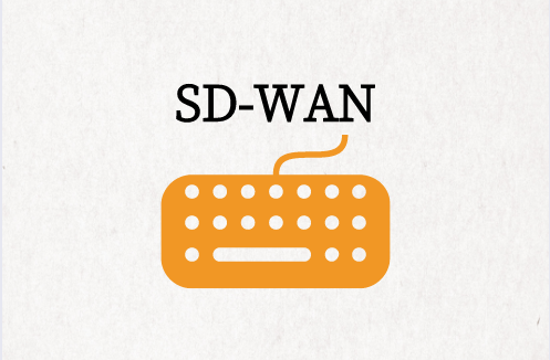 SD-WAN邊緣設備架構(gòu)